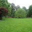 Garden at the British Embassy residence.