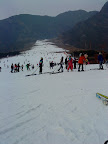 DSC00890.jpg