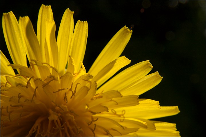 090531-0049-w