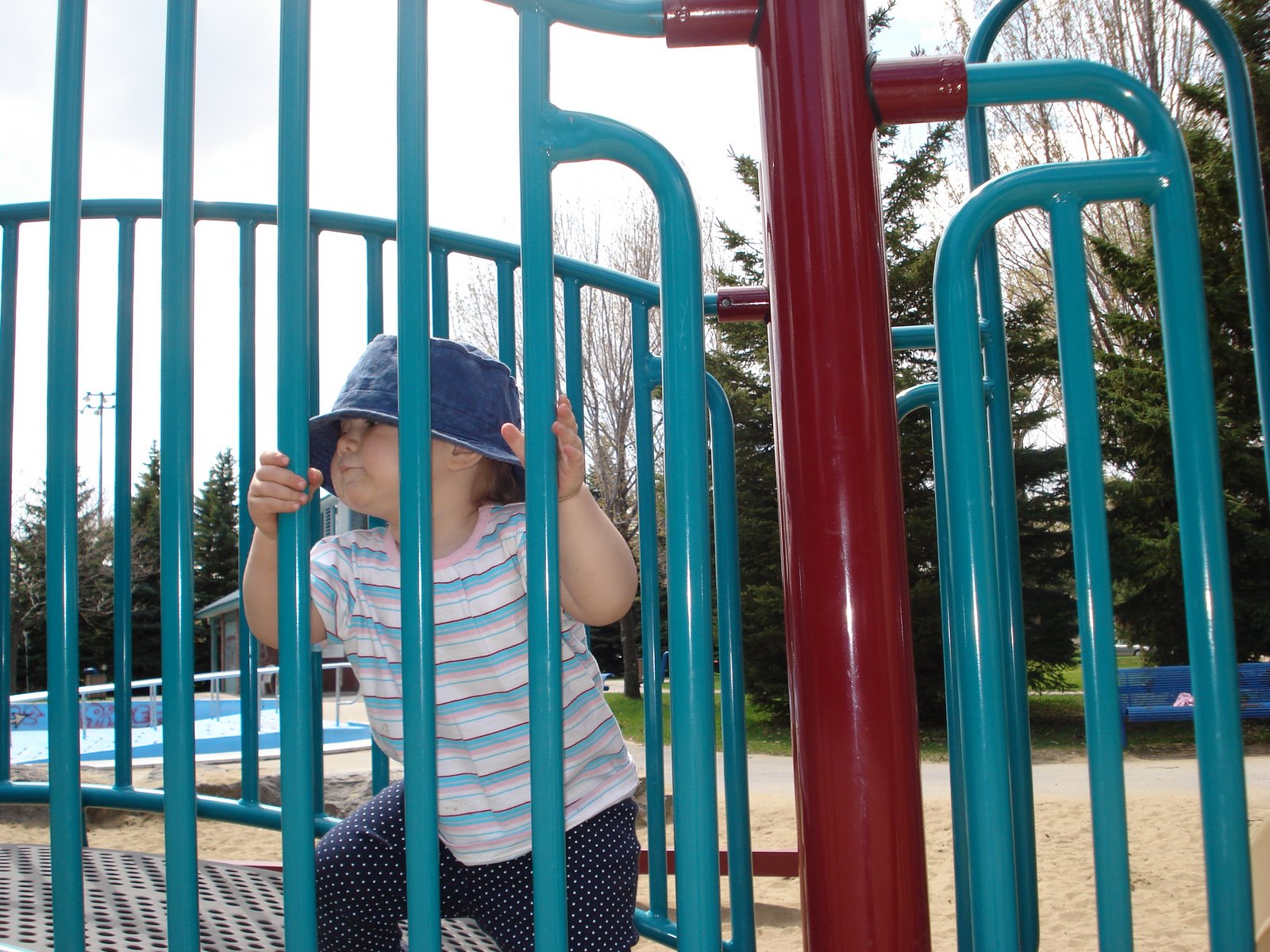 [DSC04148.JPG]