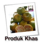 Produk Khas Garut