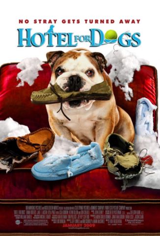 hotel-for-dogs-20081215100506341_640w.jpg