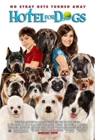hotel-for-dogs-.jpg