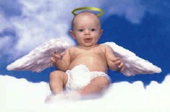 Cole_Angel