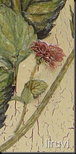 P1060264
