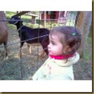 lilgoat