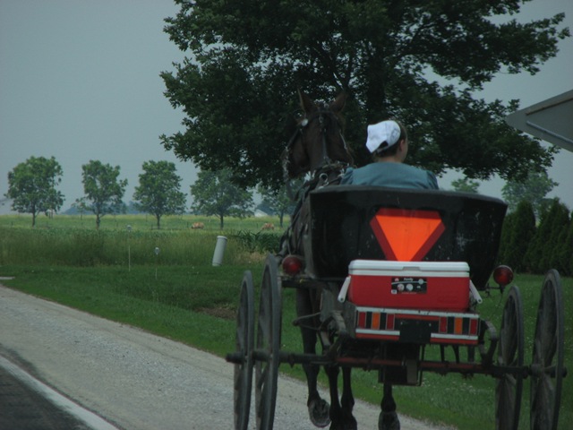 [Ilinois Amish 025[3].jpg]