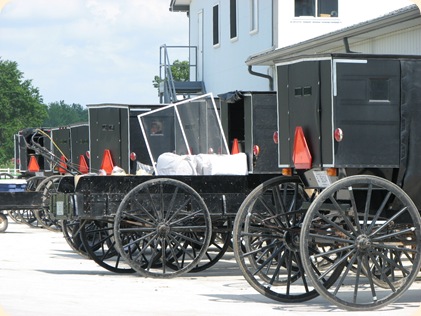Elkhart Amish Area - 2010 021