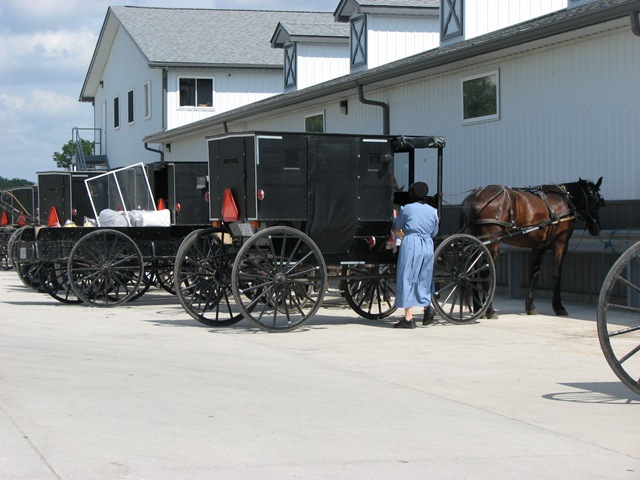 [Elkhart Amish Area - 2010 022[3].jpg]