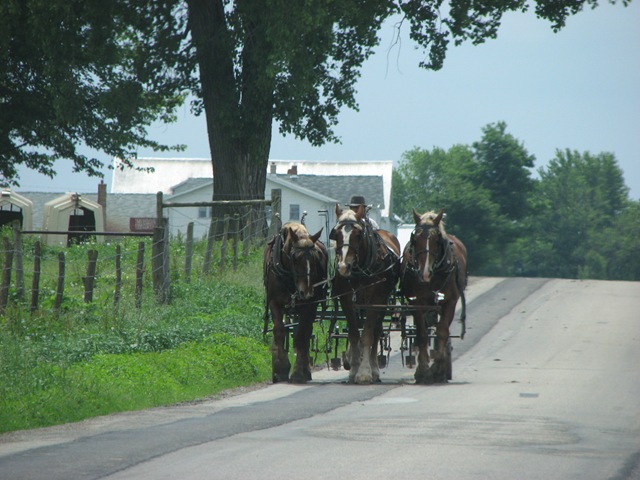 [Elkhart Amish Area - 2010 010[3].jpg]