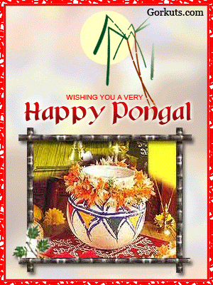 Pongal image scraps