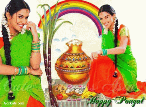 Pongal image scraps