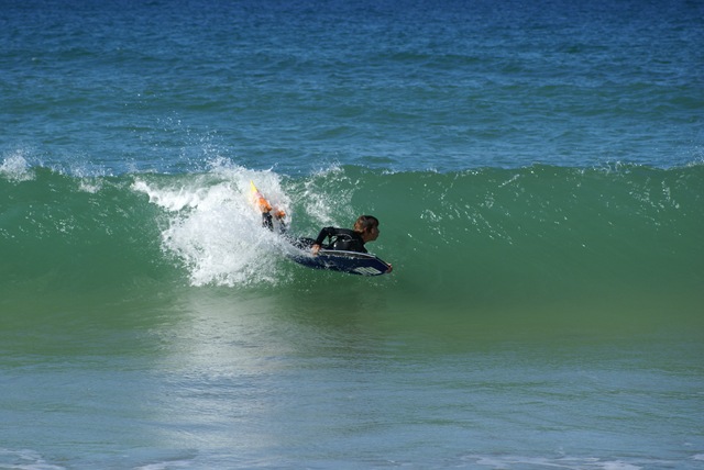 [DSC04955[3].jpg]