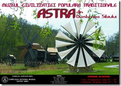 2008_Afis_MAL_mic