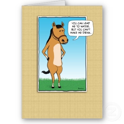 [funny_card_margarita_horse-p137599986729733112tdtq_400[3].jpg]