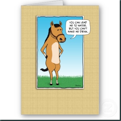 funny_card_margarita_horse-p137599986729733112tdtq_400