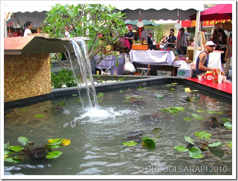 F.VALLEY WATER FEATURE© BUSOG! SARAP! 2010