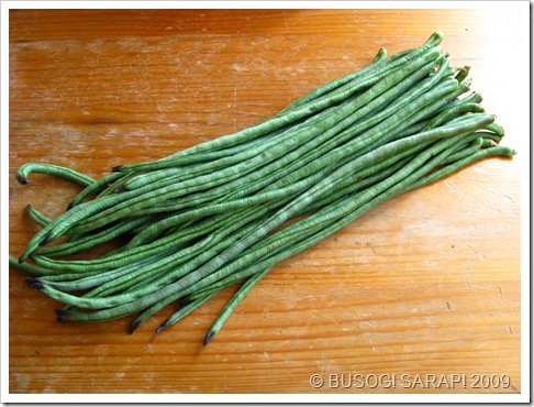 sitaw© BUSOG! SARAP! 2009