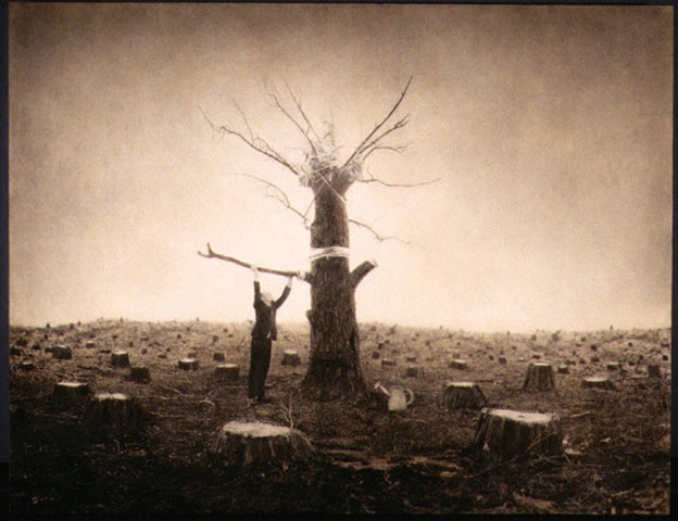 [arborday2.jpg]