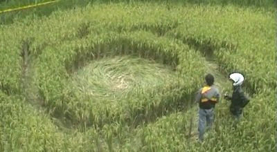 [image[5].png]