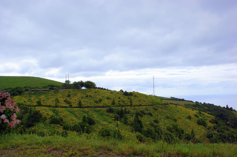 São Miguel, Açores