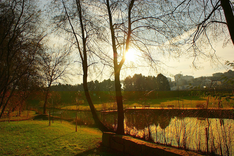 Jardim em São João da Madeira