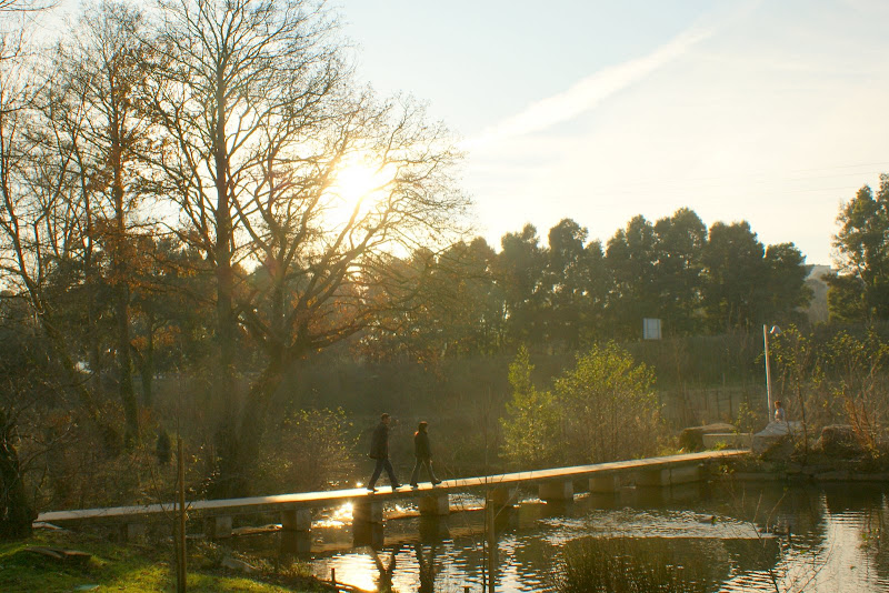 Jardim, São João da Madeira