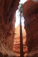 BryceCanyonNP_20100818_0300.JPG Photo