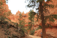 BryceCanyonNP_20100818_0305.JPG Photo