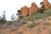 BryceCanyonNP_20100818_0321.JPG Photo