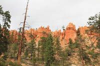 BryceCanyonNP_20100818_0322.JPG Photo