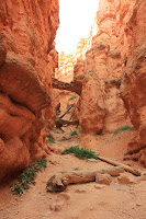 BryceCanyonNP_20100818_0327.JPG Photo