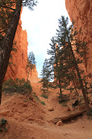 BryceCanyonNP_20100818_0334.JPG Photo
