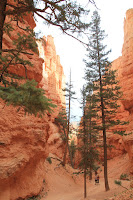BryceCanyonNP_20100818_0335.JPG Photo