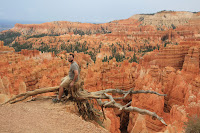 BryceCanyonNP_20100818_0259.JPG Photo