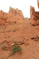 BryceCanyonNP_20100818_0280.JPG Photo