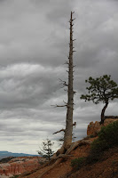 BryceCanyonNP_20100818_0056.JPG Photo