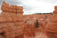 BryceCanyonNP_20100818_0061.JPG Photo