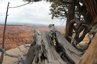 BryceCanyonNP_20100818_0232.JPG Photo