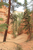 BryceCanyonNP_20100818_0152.JPG Photo