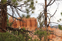BryceCanyonNP_20100818_0135.JPG Photo