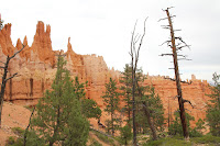 BryceCanyonNP_20100818_0137.JPG Photo