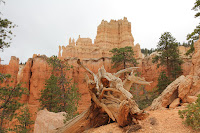 BryceCanyonNP_20100818_0130.JPG Photo