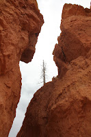 BryceCanyonNP_20100818_0124.JPG Photo