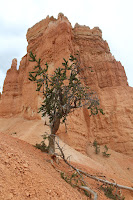 BryceCanyonNP_20100818_0115.JPG Photo