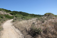 PointReyesNS_20100829_0027.JPG