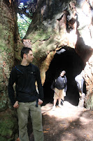 RedwoodEmpire_20100906_0507.JPG