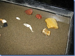 IMG_3624 IMG_3624