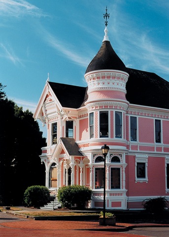 [painted lady[3].jpg]