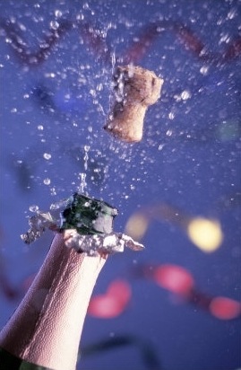 [ChampagneCorkPopping(2)[3].jpg]